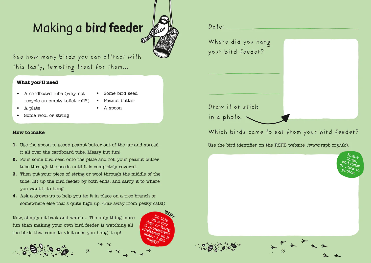 My Awesome Year being 7 - Image 4