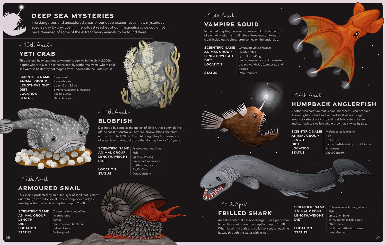 An Animal a Day - Image 4