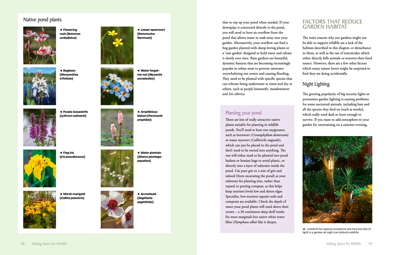 National Trust - The National Trust Book of Nature-Friendly Gardening - Image 3