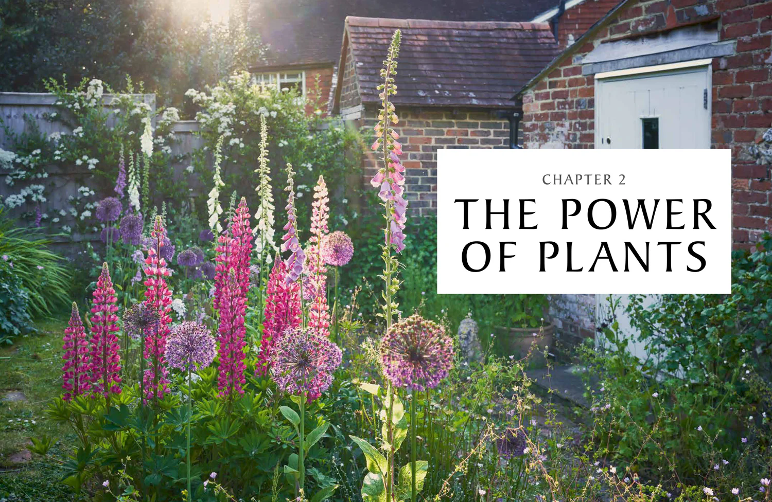 National Trust - The National Trust Book of Nature-Friendly Gardening - Image 4