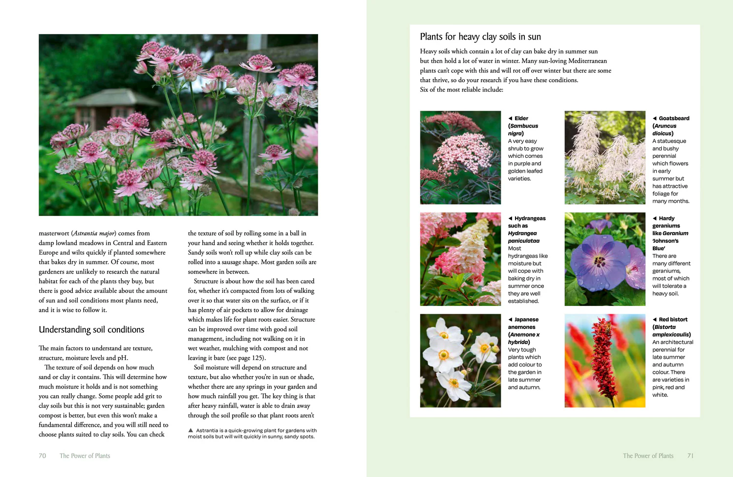 National Trust - The National Trust Book of Nature-Friendly Gardening - Image 5