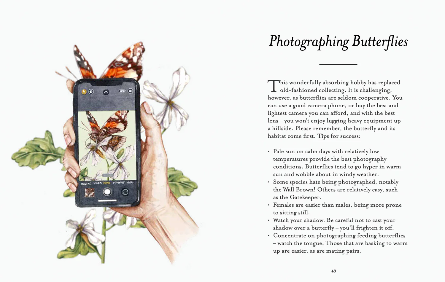 National Trust - The Butterfly Spotter’s Guide - Image 3
