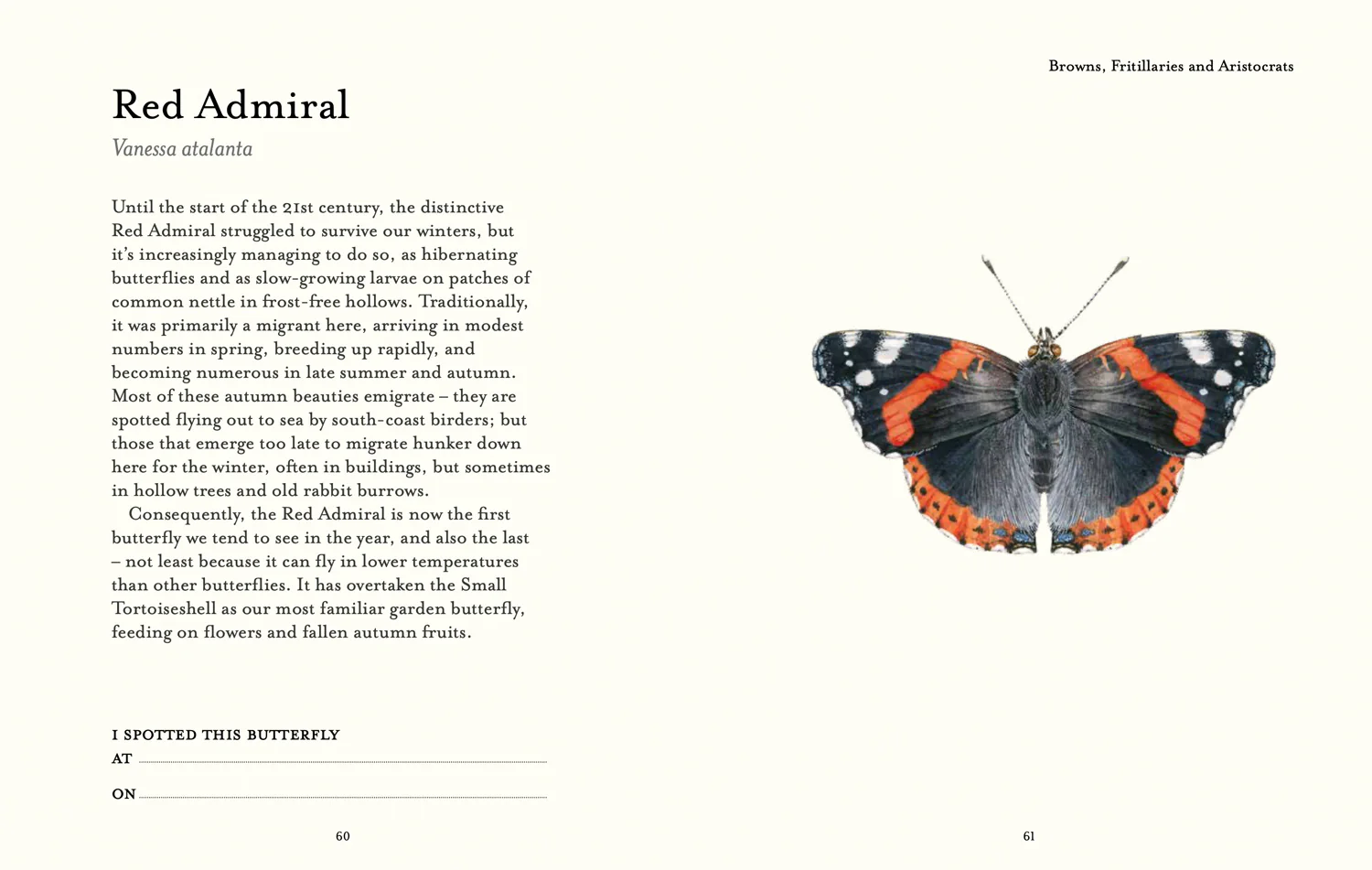 National Trust - The Butterfly Spotter’s Guide - Image 4