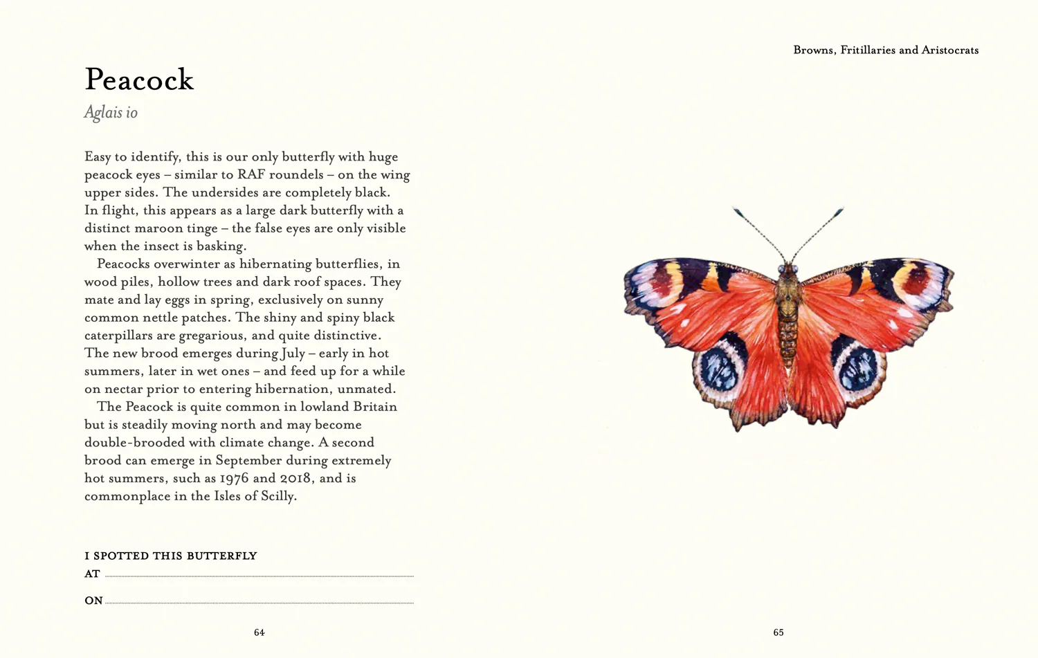 National Trust - The Butterfly Spotter’s Guide - Image 5