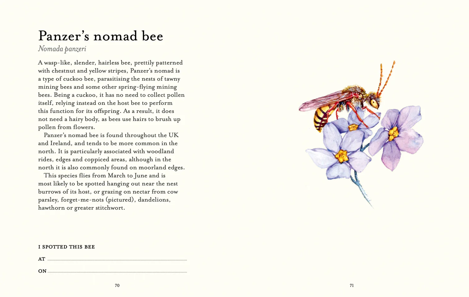 National Trust - The Bee Spotter’s Guide - Image 6