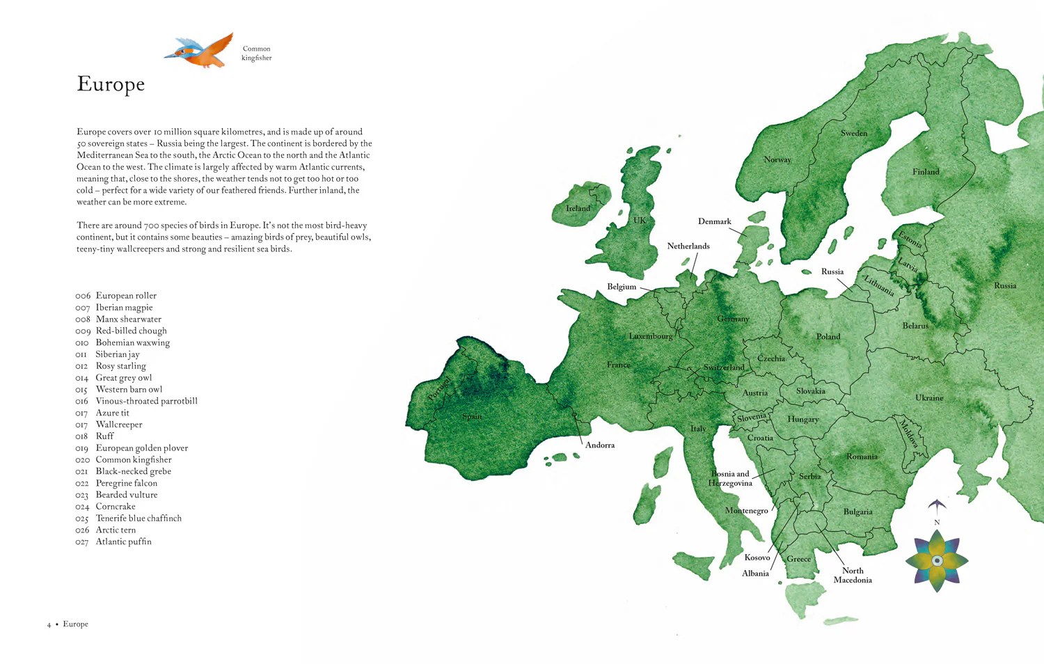 Atlas of Amazing Birds - Image 3